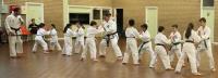 Bedford First TaeKwonDo Martial Arts image 1